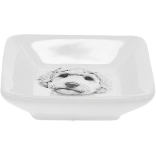 Pawsome 2.5" Trinket Dish & 5mm Cubic Zirconia Stud Earring Set