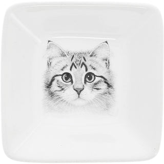 Purrfect 2.5" Trinket Dish & 5mm Cubic Zirconia Stud Earring Set