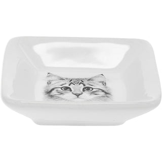 Purrfect 2.5" Trinket Dish & 5mm Cubic Zirconia Stud Earring Set