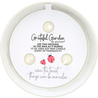 Miracles 12 oz - 100% Soy Wax Reveal Triple Wick Candle
Scent: Tranquility