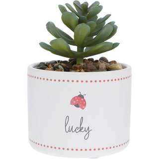 Lucky 5" Artificial Potted Plant