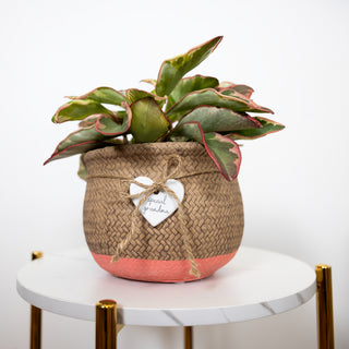 Special Grandma 8.5" Flower Pot