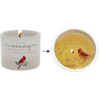 In Loving Memory 8 oz - 100% Soy Wax Reveal Candle
Scent: Tranquility