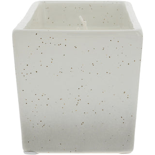 Cardinals Appear 12 oz - 100% Soy Wax Reveal Triple Wick Candle Scent: Tranquility