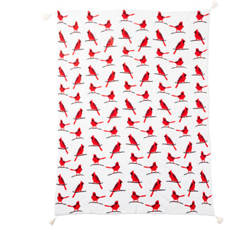 Cardinals 50" x 60" Knit Blanket