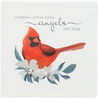 Cardinals Appear 3" Square Magnet