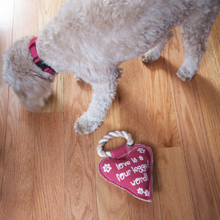 Heart Love 10" Canvas Dog Toy on Rope