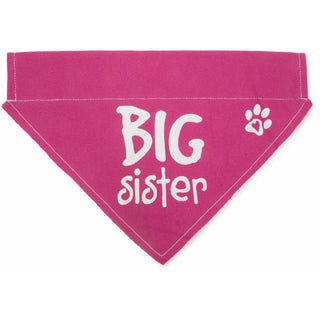 Big Sister 12" x 8" Canvas Slip on Pet Bandana