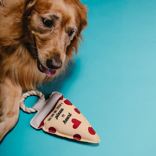 Pizza My Heart 13" Canvas Dog Toy on Rope