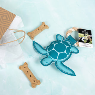 Turtle-y Awesome 9" Canvas Dog Toy on Rope