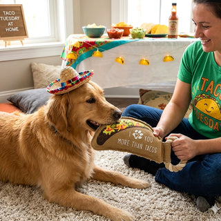 Tacos 12" Canvas Dog Toy on Rope