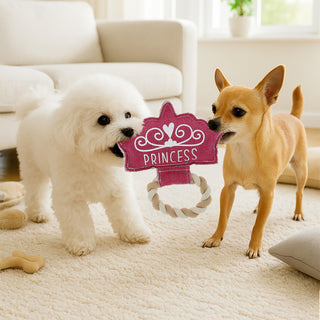 Princess 8.25" Canvas Dog Toy on Rope