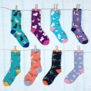 Dogs Unisex Socks