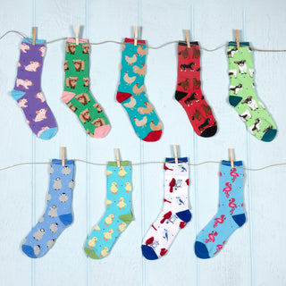 Baby Penguins Unisex Socks