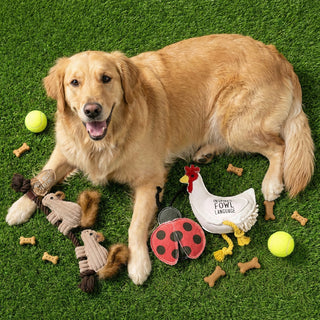 Fowl 8" Dog Toy on Rope