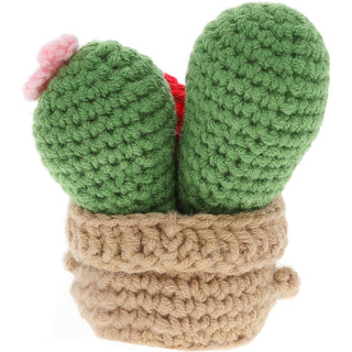 Cactus Crocheted Mini