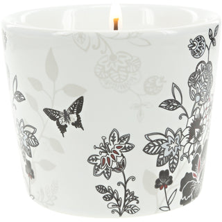 Sister 8 oz Soy Wax Candle
Scent: Tranquility