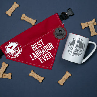 Best Labrador 12" x 8" Canvas Slip on Pet Bandana