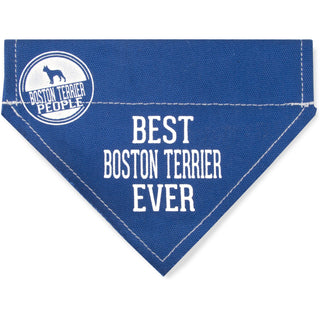 Best Boston Terrier 7" x 5" Canvas Slip on Pet Bandana