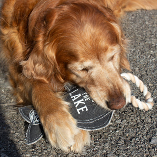 Lake Dog 12" Canvas Dog Toy on Rope