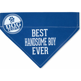 Handsome Boy 7" x 5" Canvas Slip on Pet Bandana