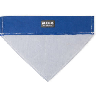 Birthday Boy 7" x 5" Canvas Slip on Pet Bandana