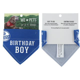 Birthday Boy 7" x 5" Canvas Slip on Pet Bandana