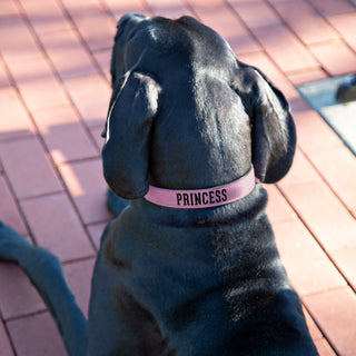 Princess  21" PU Leather Pet Collar