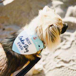 Lake Dog 12" x 8" Canvas Slip on Pet Bandana