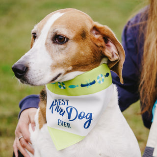 River Dog 12" x 8" Canvas Slip on Pet Bandana