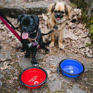 Best Dog 7" Collapsible Silicone Pet Bowl