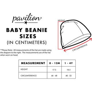 Camping Heathered Gray Beanie (0-12 Months)