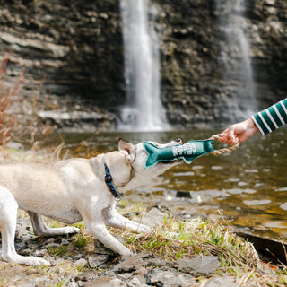 River Dog 12" Canvas Dog Toy on Rope