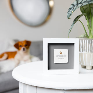 A Spoiled Dog 4.75" Plaque