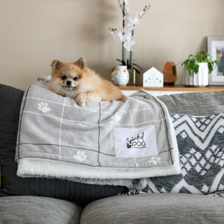 Spoiled Dog 50" x 60" Sherpa & Royal Plush Blanket