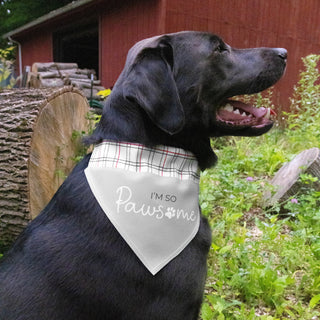 I'm So Pawsome 12" x 8" Canvas Slip on Pet Bandana