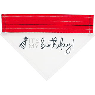 It's My Birthday 12" x 8" Canvas Slip on Pet Bandana