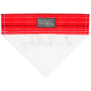 It's My Birthday 7" x 5" Canvas Slip on Pet Bandana