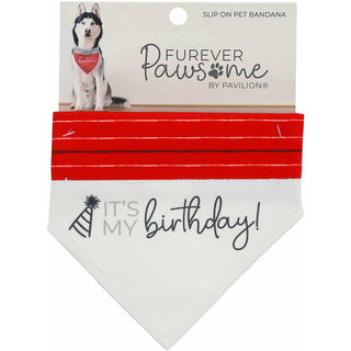 It's My Birthday 12" x 8" Canvas Slip on Pet Bandana