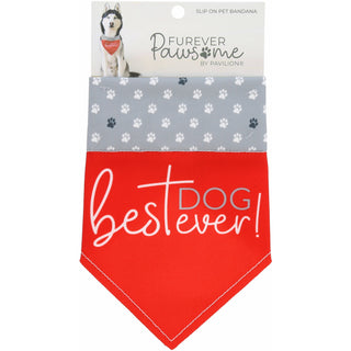 Best Dog Ever 12" x 8" Canvas Slip on Pet Bandana
