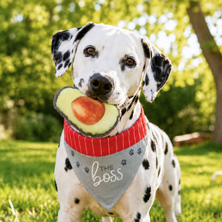 The Boss 7" x 5" Canvas Slip on Pet Bandana