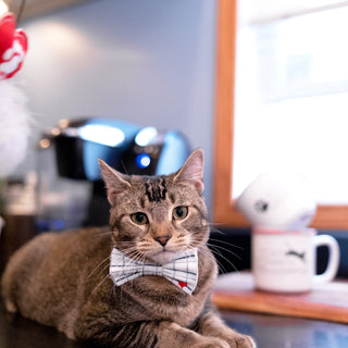 White Checkered 6" x 3" Canvas Pet Bow Tie