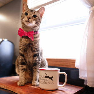 Red Striped 6" x 3" Canvas Pet Bow Tie