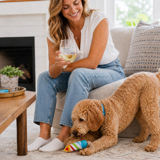 Celebrating Dog 18 oz Stemless Wine Glass & Dog Toy Set