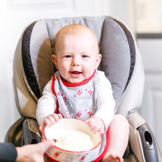 Ice Cream Gray Reversible Bib 6 Months - 3 Years