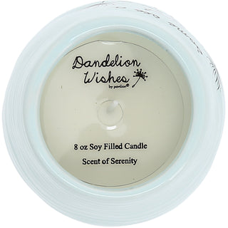 Some See a Wish 8 oz - 100% Soy Wax Candle
Scent: Serenity