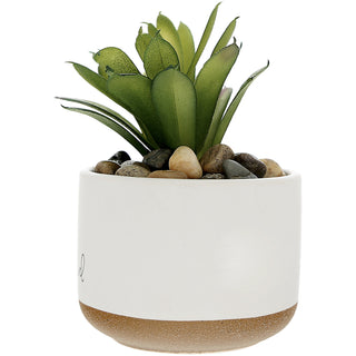 Blessed 5" Artificial Potted Plant