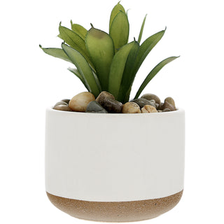 Blessed 5" Artificial Potted Plant