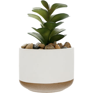 Loved 5" Artificial Potted Plant