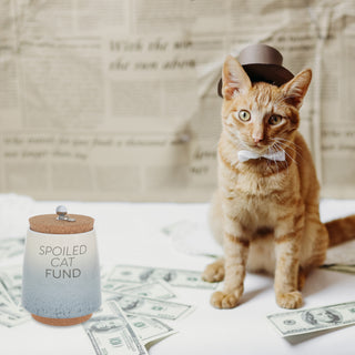 Spoiled Cat 6.5" Ceramic Savings Bank